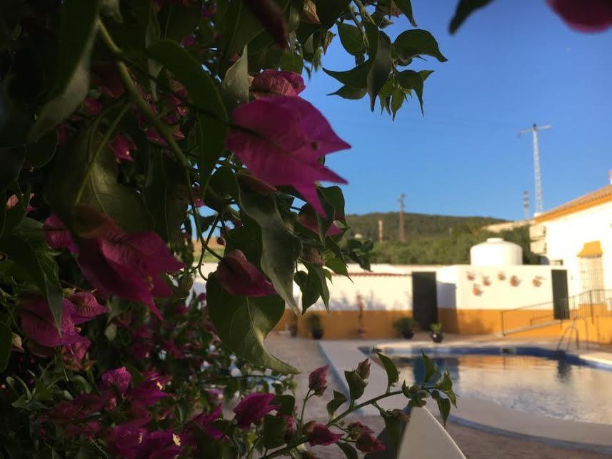 Hotel Andalou Montellano ภายนอก รูปภาพ