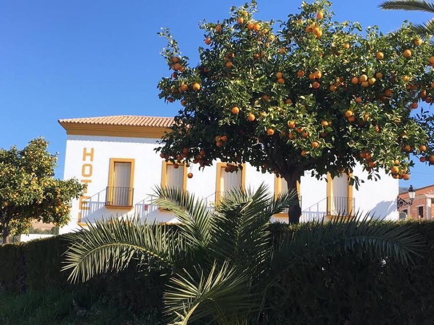 Hotel Andalou Montellano ภายนอก รูปภาพ