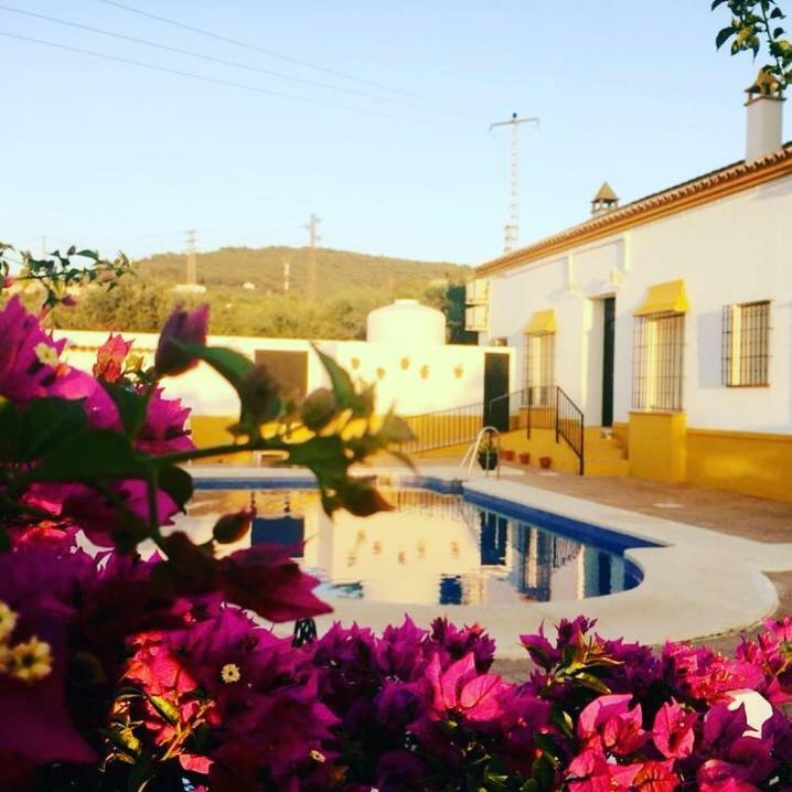 Hotel Andalou Montellano ภายนอก รูปภาพ